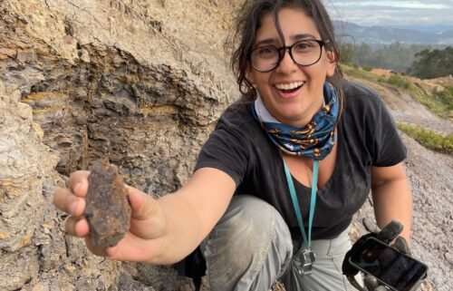 Mónica Carvalho can be seen holding the newly discovered earliest grape from the Western Hemisphere at the dig site in Colombia.