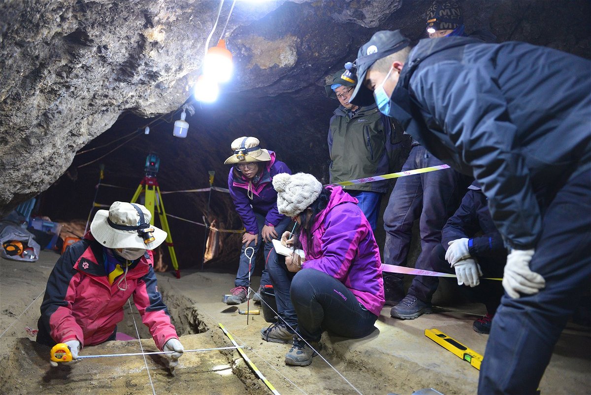 <i>Dongju Zhang’s group/Lanzhou University via CNN Newsource</i><br/>Analysis of bone fragments unearthed during excavations at Baishiya Karst Cave have revealed what animals Denisovans butchered