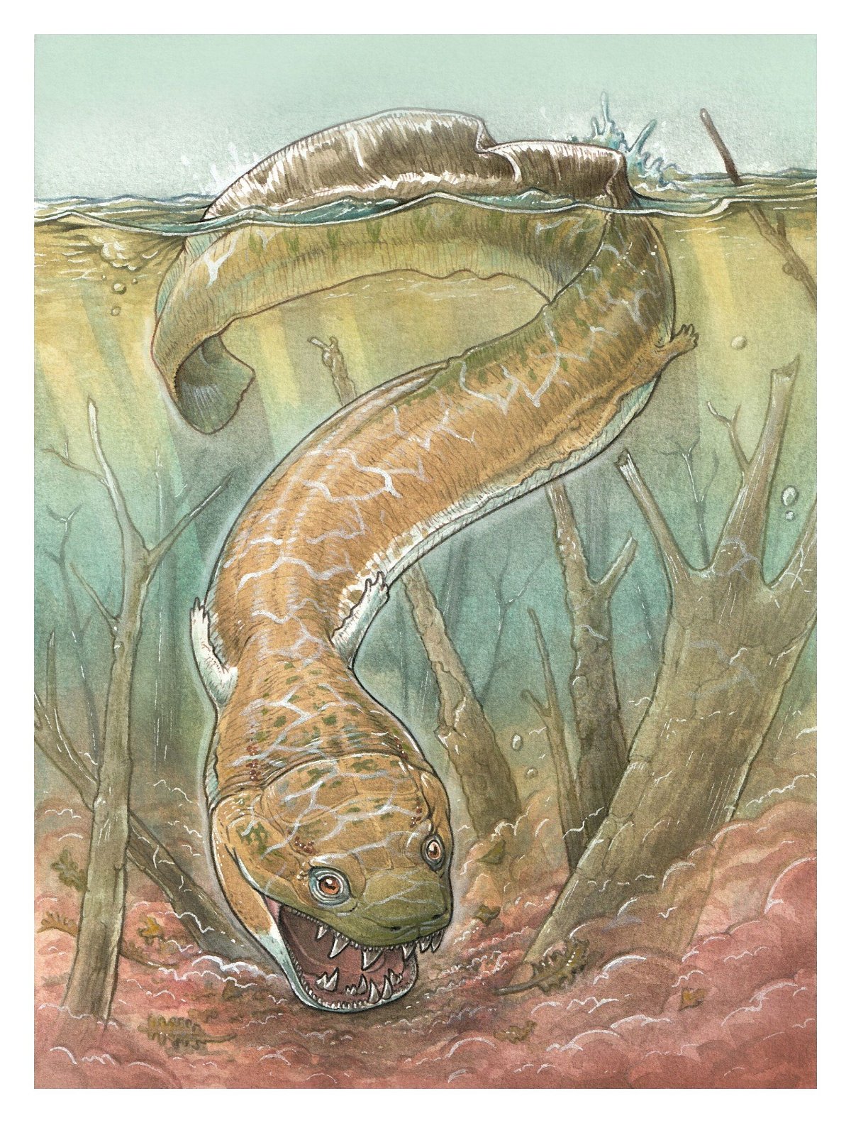 <i>Gabriel Lio/Courtesy Field Museum via CNN Newsource</i><br/>An illustration depicts Gaiasia jennyae lurking at the bottom of a swamp