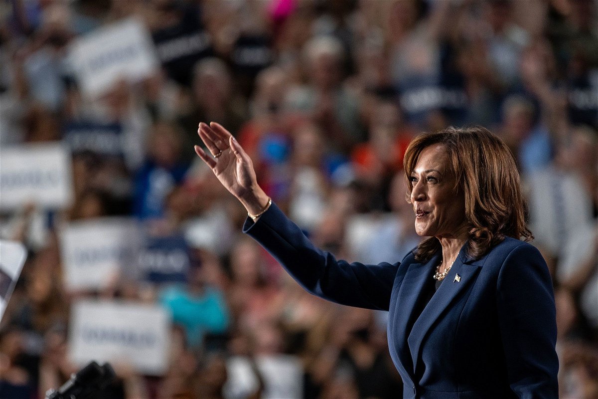 <i>Jim Vondruska/Getty Images via CNN Newsource</i><br/>The likely 2024 presidential election campaign between Vice President Kamala Harris