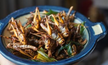 Singapore’s state food agency (SFA) has approved 16 species of edible insects for sale and consumption in the country