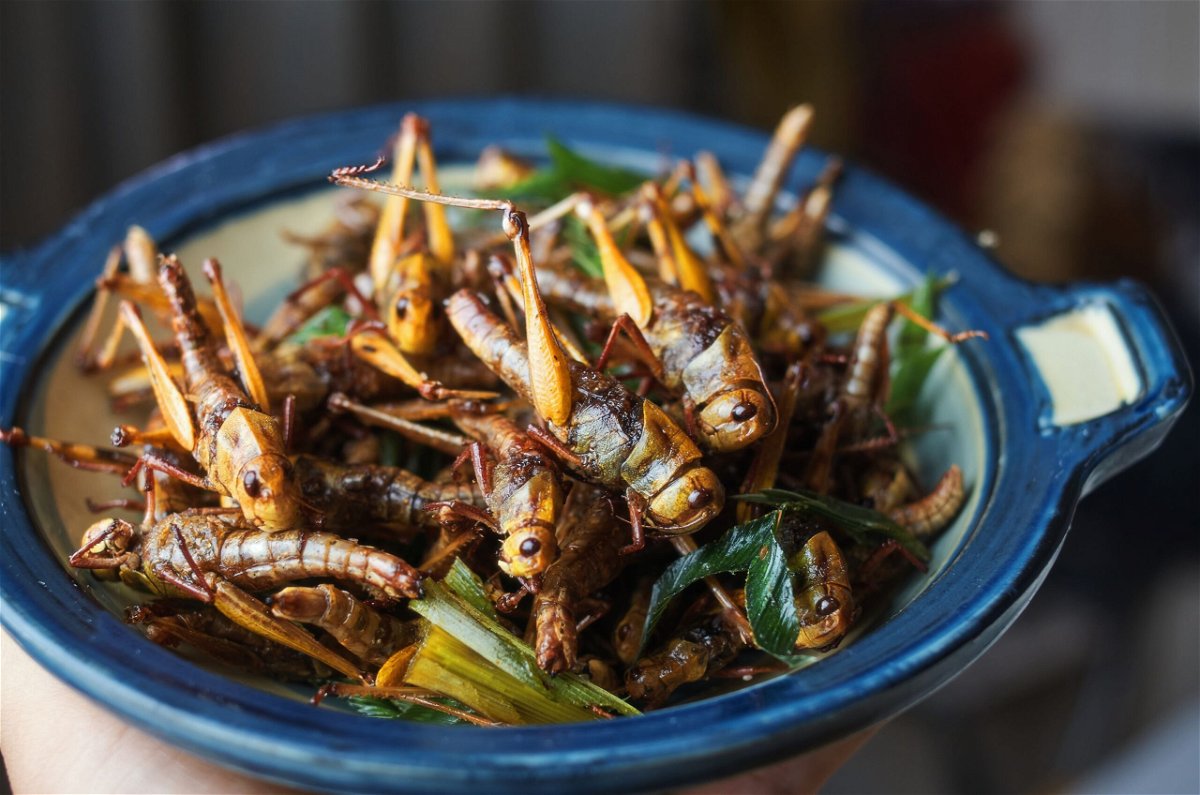 <i>Krit of Studio OMG/Moment RF/Getty Images via CNN Newsource</i><br/>Singapore’s state food agency (SFA) has approved 16 species of edible insects for sale and consumption in the country