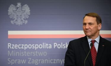 Polish Foreign Minister Radoslaw Sikorski at the Foreign Ministry in Warsaw on February 5.