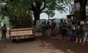 A group of armed men provide security as a truck with avocado trees passes by in Ario de Rosales