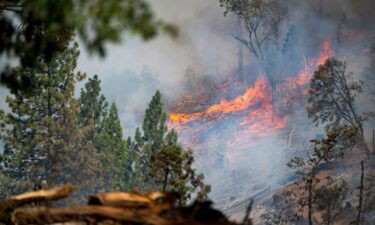 The Park Fire burns along Highway 32 near Forest Ranch