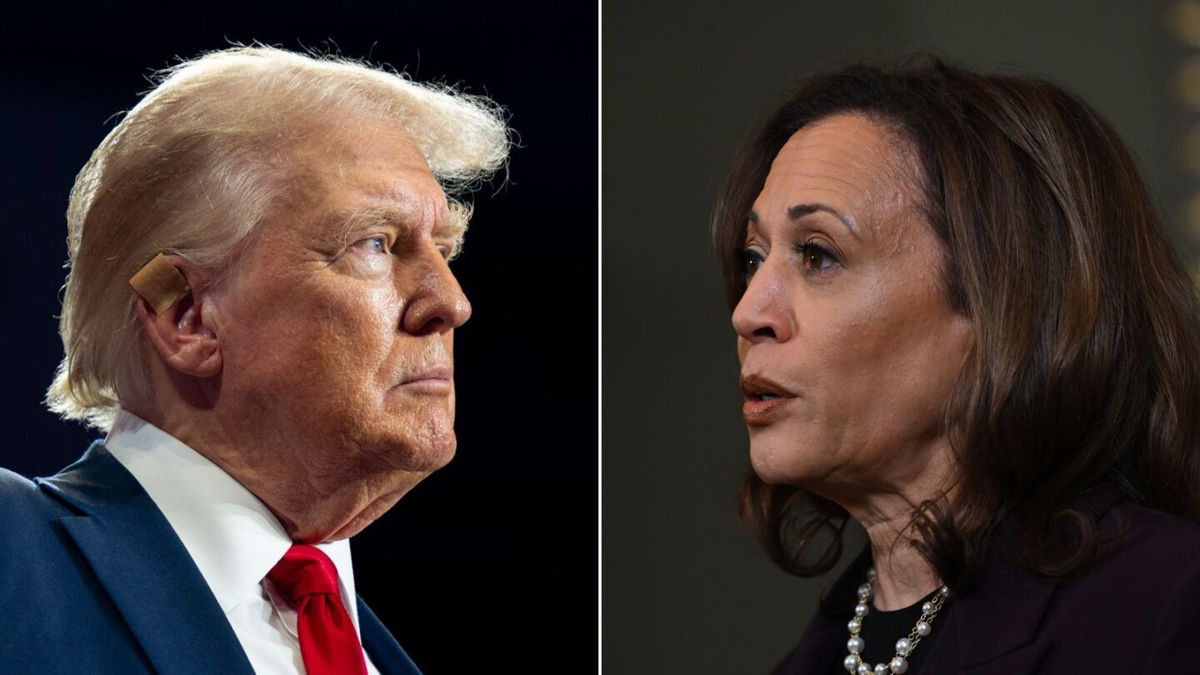 <i>Getty Images via CNN Newsource</i><br/>Vice President Kamala Harris went on the offensive on immigration at her rally in Atlanta on July 30
