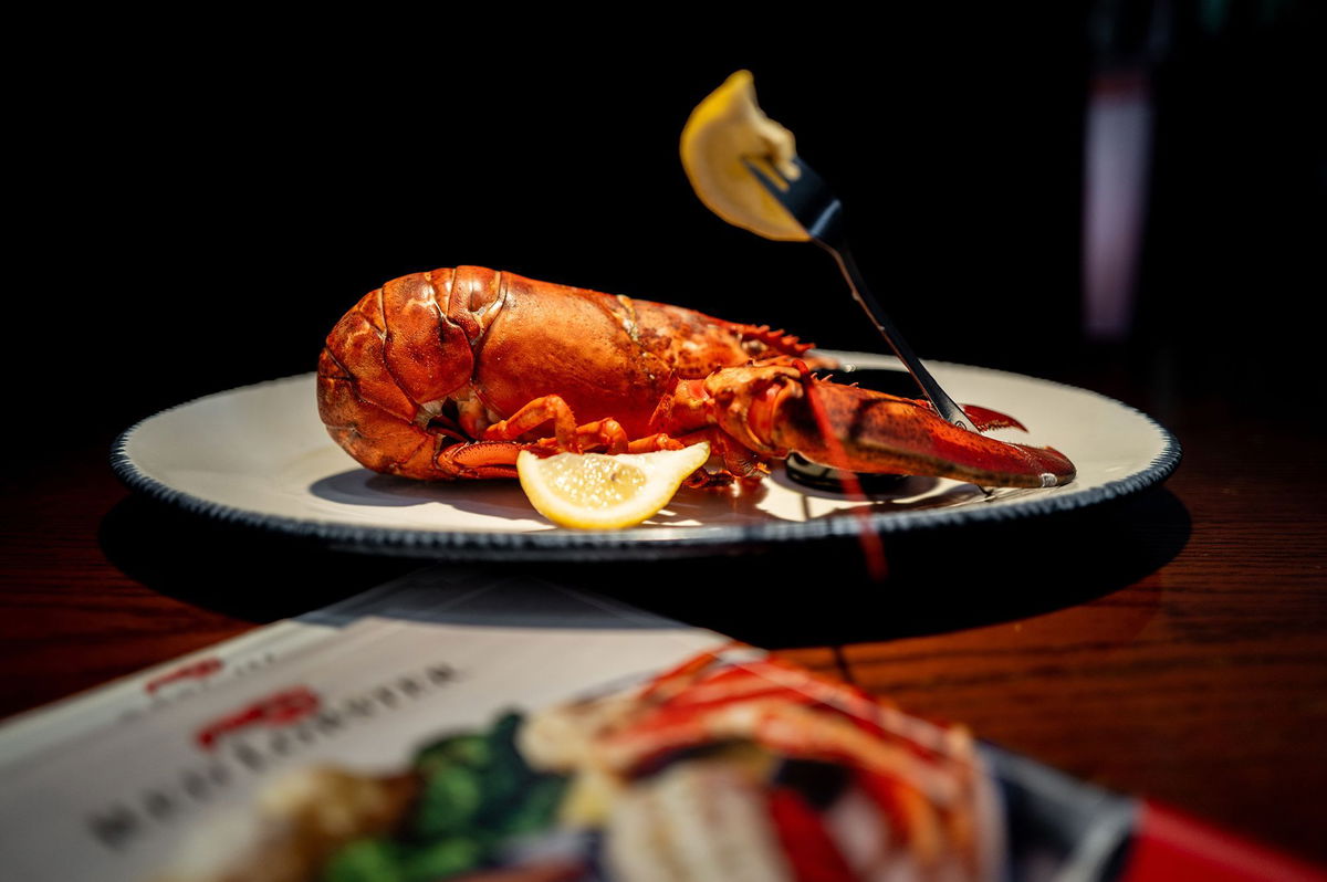 <i>Brandon Bell/Getty Images via CNN Newsource</i><br/>Red Lobster filed for bankruptcy in May.