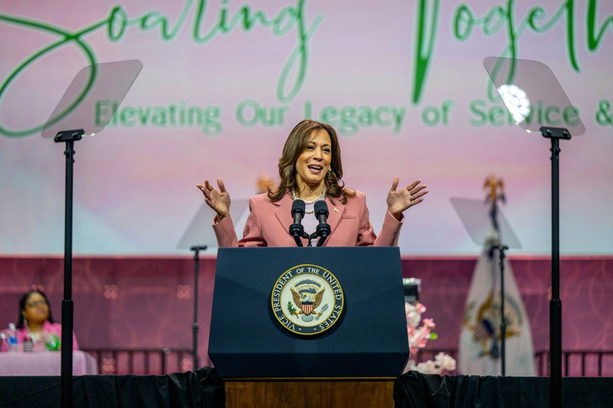 <i>Brandon Bell/Getty Images via CNN Newsource</i><br/>With Vice President Kamala Harris looking like the presumptive Democratic presidential nominee