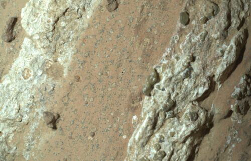 NASA’s Perseverance rover discovered “leopard spots” on a reddish rock nicknamed Cheyava Falls in Mars’ Jezero Crater on July 18.