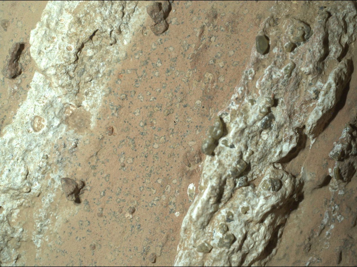 <i>NASA/JPL-Caltech/MSSS via CNN Newsource</i><br/>NASA’s Perseverance rover discovered “leopard spots” on a reddish rock nicknamed Cheyava Falls in Mars’ Jezero Crater on July 18.