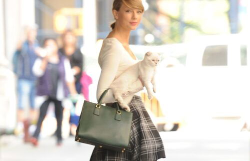Taylor Swift is seen in New York in 2014 with one of her cats.