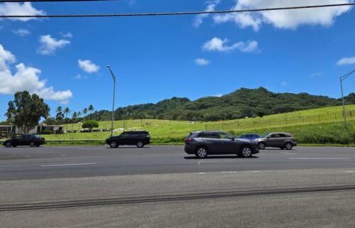 A 32-year-old woman is dead after being struck on Kamehameha Highway in a hit-and-run on Thursday morning.
