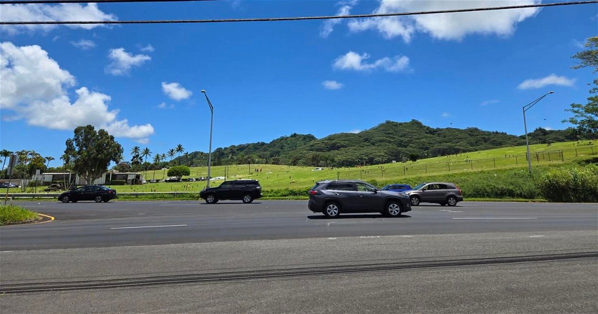 <i>KITV via CNN Newsource</i><br/>A 32-year-old woman is dead after being struck on Kamehameha Highway in a hit-and-run on Thursday morning.