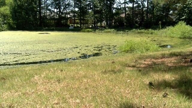<i>WAAY via CNN Newsource</i><br/>The pond where the 5-year-old was recovered from.