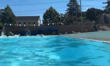 A former president of the Alameda Gators swim team has been charged with three felonies after allegedly embezzling money from the organization.