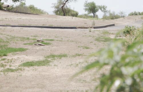 A portion of the El Conquistador Golf Course in Oro Valley covered in dust from the monsoon winds.