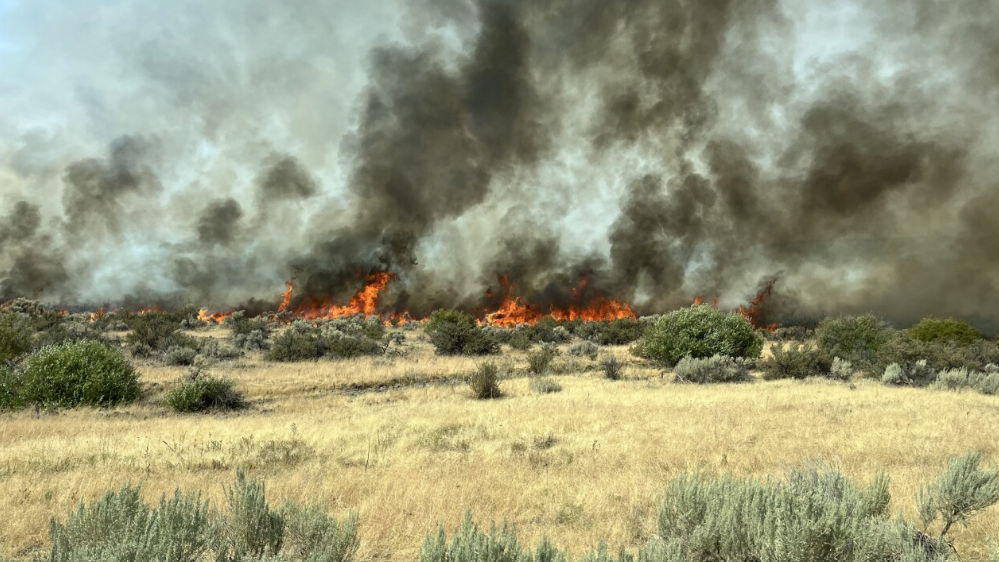 <i>Bureau of Land Management Idaho Fire/KIVI via CNN Newsource</i><br/>The BLM Idaho Fire is reporting that the Paddock Fire has continued to spread across the south end of the Paddock Reservoir.