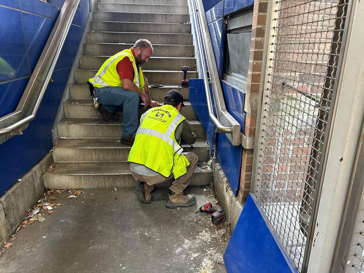 <i>@SEPTAPHILLY/KYW via CNN Newsource</i><br/>SEPTA workers discovered a mama cat and her five kittens nestled within the walls and ceiling of the 63rd Street Station on the Market-Frankford Line