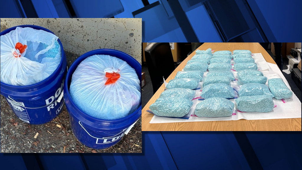 OSP says 60 pounds of pills with fentanyl were found in two 5-gallon bucks on semi stopped on I-5.