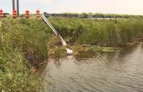 A witness recalls the tireless rescue efforts of the sole survivor of the Palm Beach County canal crash that claimed the lives of nine people