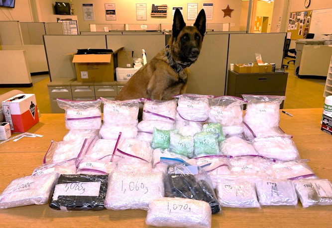 Portland drug-sniffing K-9 'Stitch' poses with one of city's largest single-day drug seizures