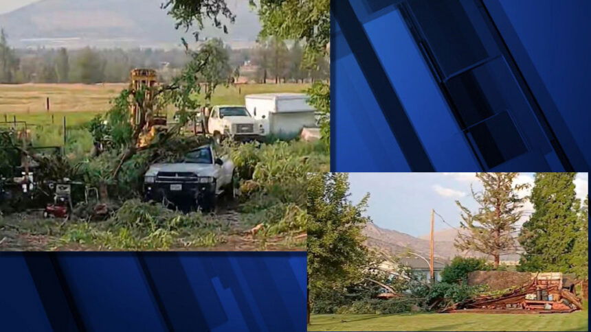 Storm trees pickup shop Travis Schwerbel 84