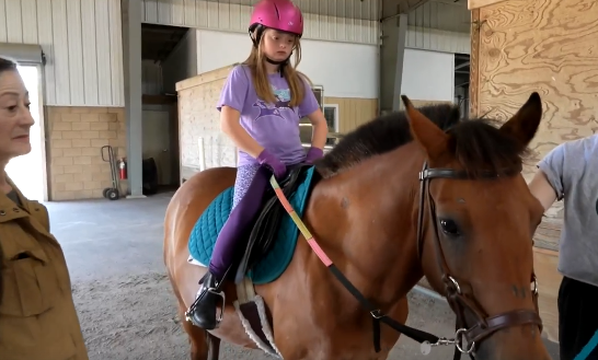 <i>WTVF via CNN Newsource</i><br/>Saddle Up is an organization provides equine therapy and other opportunities for children and young adults with disabilities.