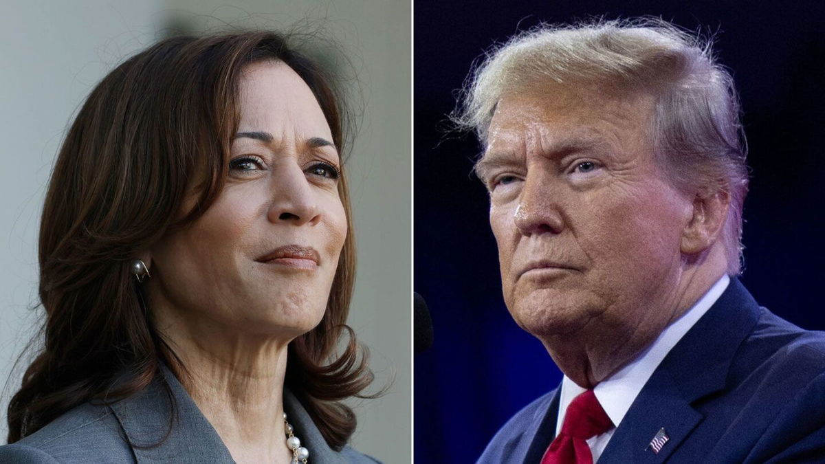 <i>Getty Images via CNN Newsource</i><br/>Vice President Kamala Harris is expected to unveil her plan to help make homes more affordable. Although analysts cheered some of her plans to assist buyers