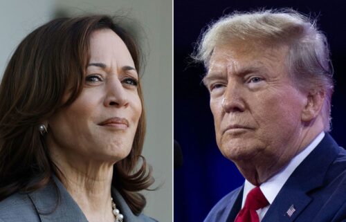 Vice President Kamala Harris is expected to unveil her plan to help make homes more affordable. Although analysts cheered some of her plans to assist buyers