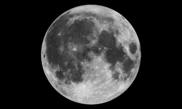 The moon's polar regions are home to craters that are easily cold enough to enable passive cryopreservation.