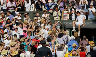 Murray climbs to his friends and family after winning the Wimbledon title in 2013.