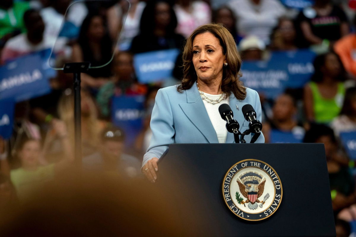 <i>Ben Hendren/Sipa/AP via CNN Newsource</i><br/>Vice President Kamala Harris speaks to supporters in Atlanta during her first visit to the city since becoming the presumptive Democratic presidential nominee