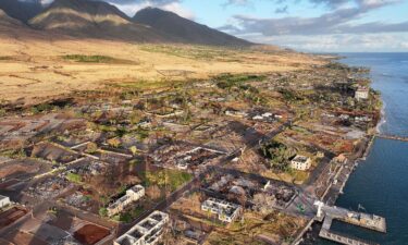 An aerial photo shows damage and renewal one year after a wildfire scorched Lahaina