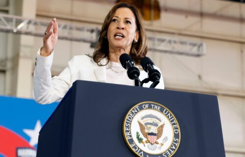 Vice President Kamala Harris speaks during a campaign rally at Detroit Metropolitan Airport in Romulus