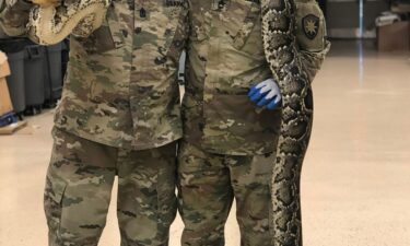 Aycock and soldier Joe Detre holding a 14-foot python captured by Aycock.