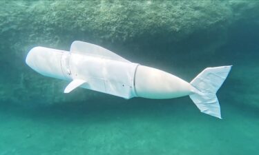 A robot fish designed and developed by students at ETH Zurich