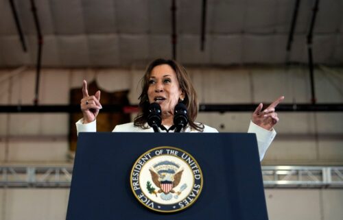 Kamala Harris speaks pictured speaking at the campaign rally at Detroit Metropolitan Airport on August 7.