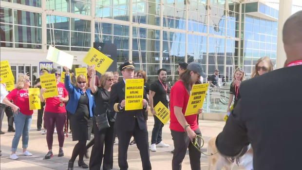 United Airlines flight attendants in Colorado join statewide union vote for strike