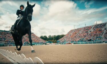 Equestrian rider on horseback