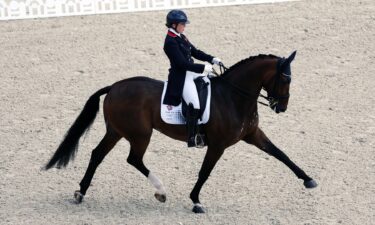 Equestrian rider on horseback