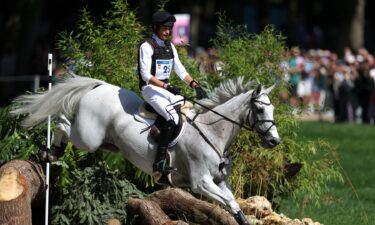 Equestrian rider on horseback