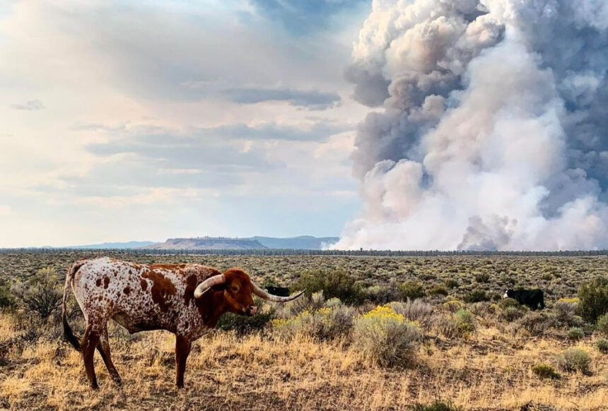 Flat Top Fire Fort Rock Tess Mitchell 9-7-1