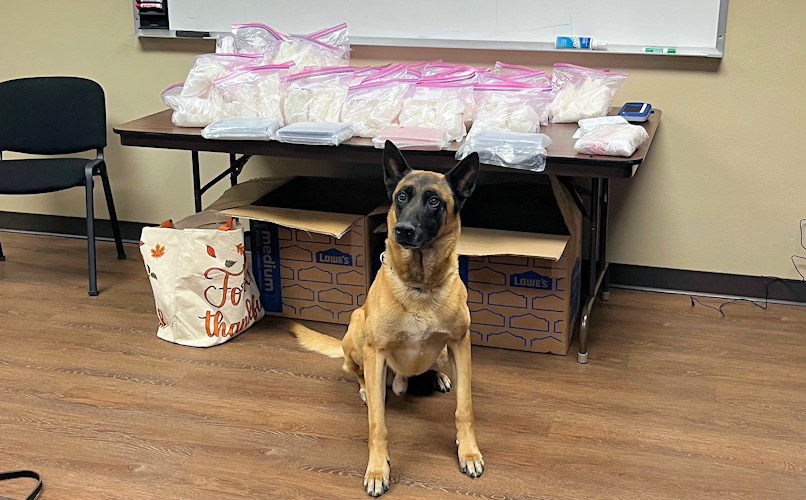 Oregon State Police drug detection K-9 with seized drugs.