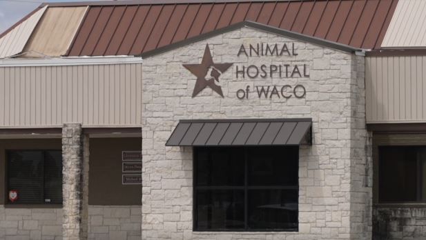 <i>KXXV via CNN Newsource</i><br/>Tiffany Keller says she took her pup Millie to the Animal Hospital of Waco recently for treatment