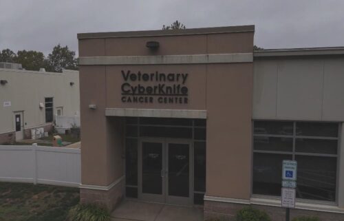 A high-tech kind of radiation designed for people is also being used for dogs and cats with cancer. The only dedicated veterinary center providing this treatment is in Malvern