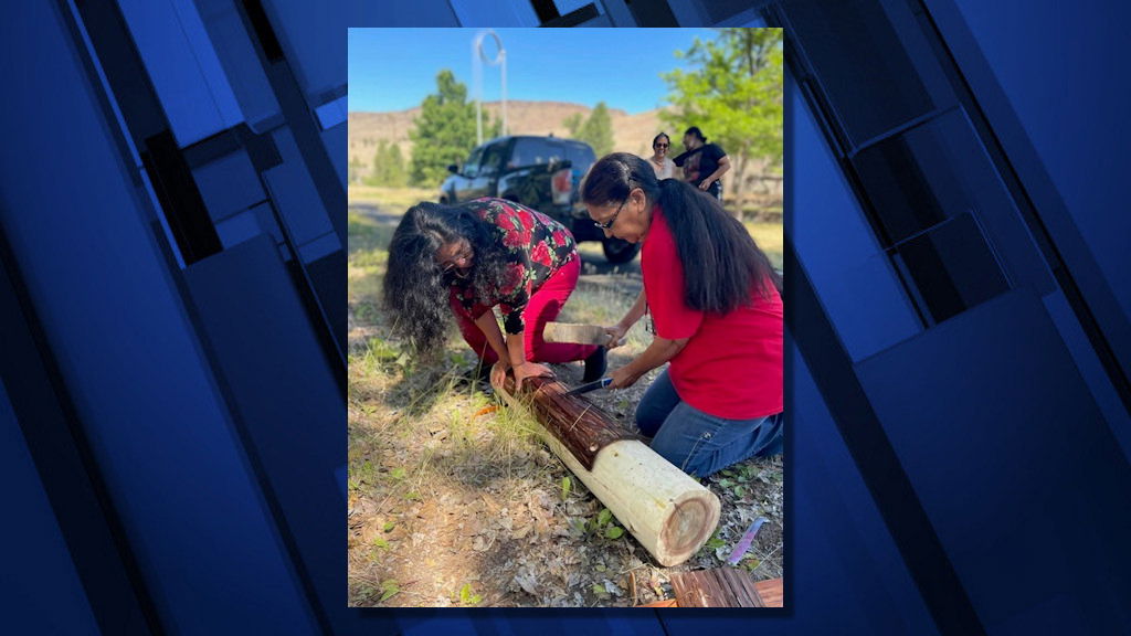 Sisters Maria Godines (left) and Roberta Kirk (right) harvesting cedar bark in preparation for a cedar bark basketmaking traditional master arts workshop at The Museum at Warm Springs in July 2022.
