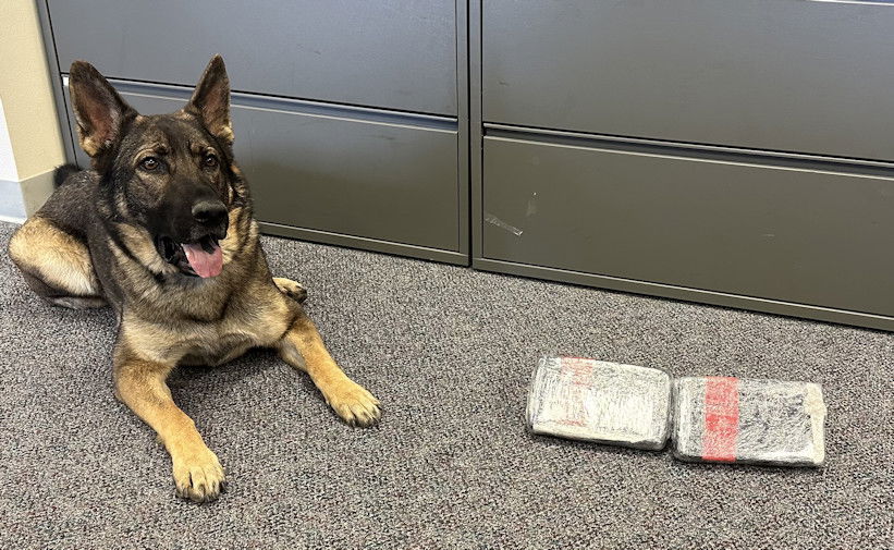 OSP drug-detection K-9 poses with seized powdered fentanyl