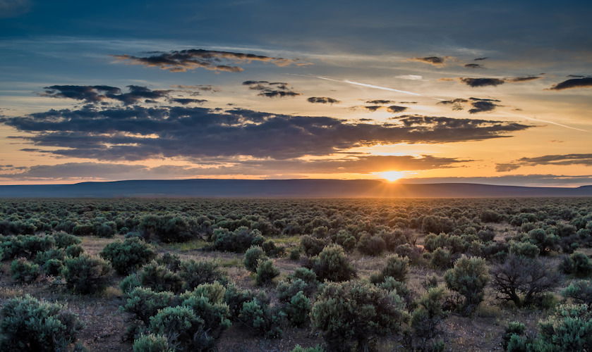 The Oregon Outback covers a swath of sparsely populated counties in the southeastern part of the state