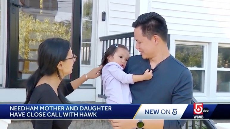 <i>WCVB via CNN Newsource</i><br/>Surveillance video shows the scary moment when a red-tailed hawk swooped down at a mother and her 2-year-old daughter while they were playing outside in Needham