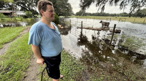 <i>WFTS via CNN Newsource</i><br/>Ferman Geiger’s cattle are running out of dry land because much of his property just outside Zephyrhills city limits is now underwater.